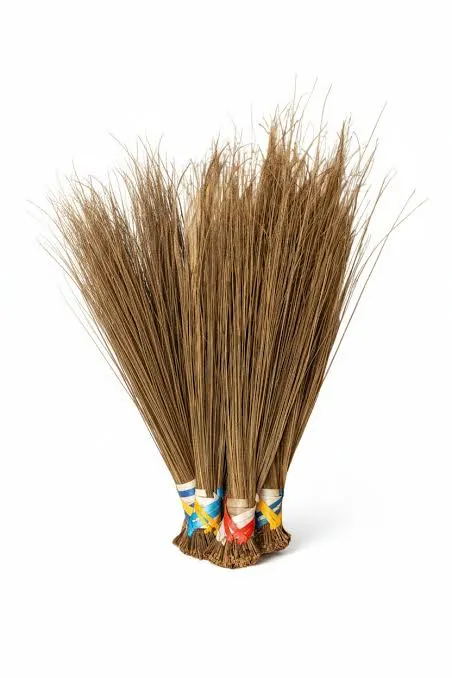 Native Broom